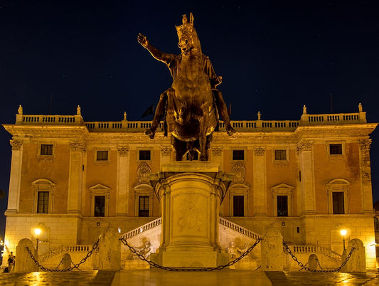 Action Forces Motivation